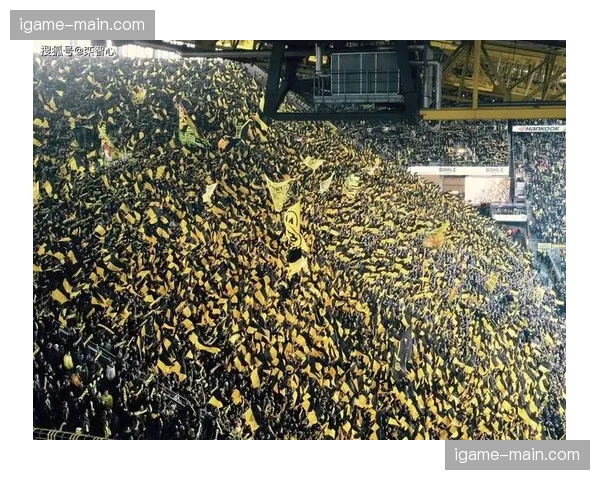 纪录片《威斯特法伦的90分钟》首映,讲述多特南看台故事 纪录片《威斯特法伦的90分钟》首映,讲述多特南看台故事